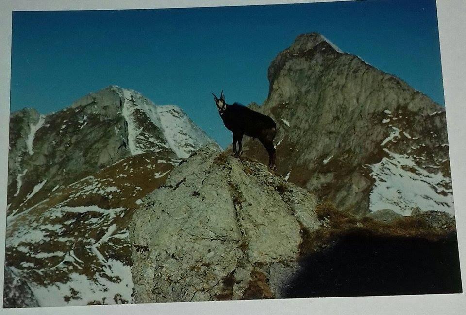 Vila Zdenka Vysoké Tatry Kültér fotó